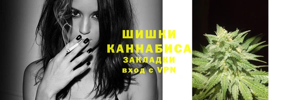 эйфоретик Осинники