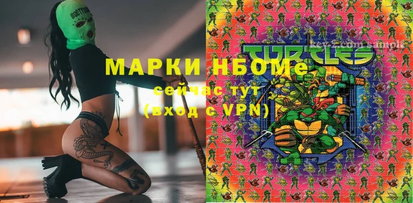 шишки Нязепетровск