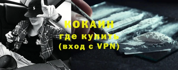 шишки Нязепетровск