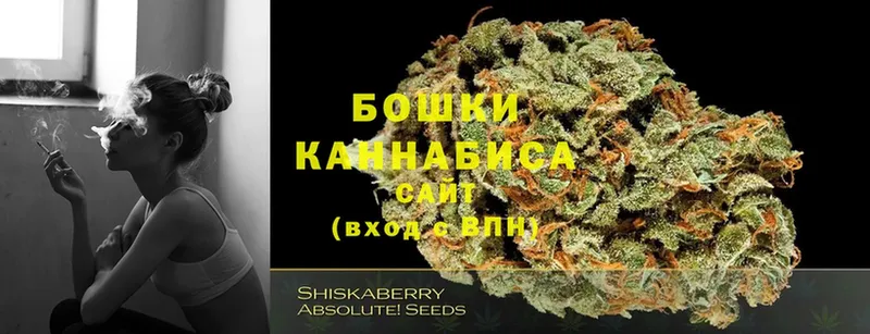 МАРИХУАНА White Widow  цены наркотик  Солигалич 